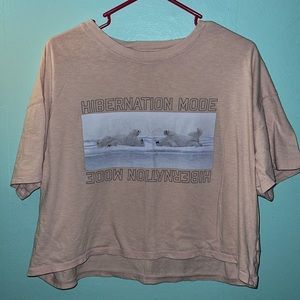 Light pink American eagle crop top.